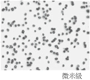 奈米晶種-微米級