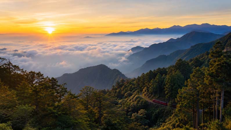 阿里山鑽石